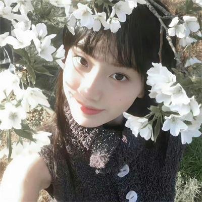 大汉风之破釜沉舟